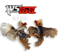 ws168 MABARTOGEL